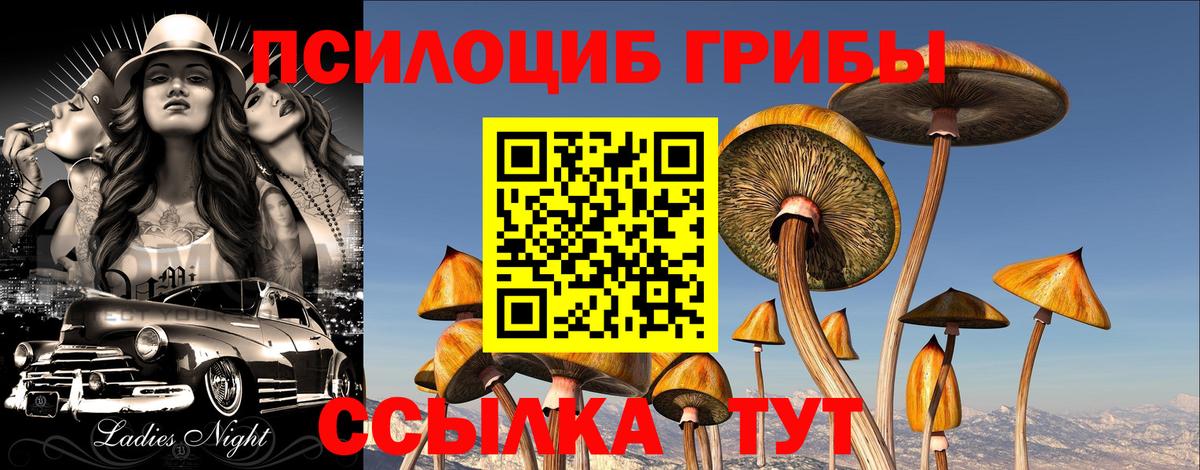 Обнинск  Галлюциногенные грибы Psilocybe  Вход с VPN 