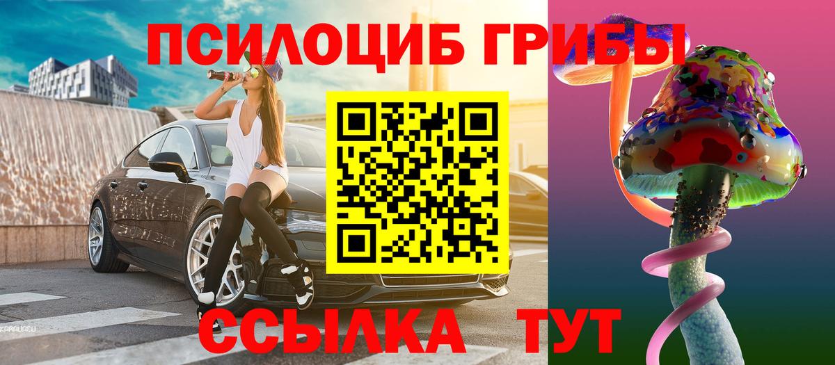 Псилоцибиновые грибы Psilocybine cubensis Обнинск